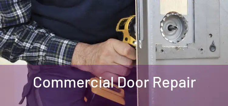 Commercial Door Repair